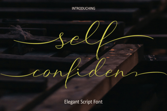 Elevate Your Visual Identity with Self Confident Typography