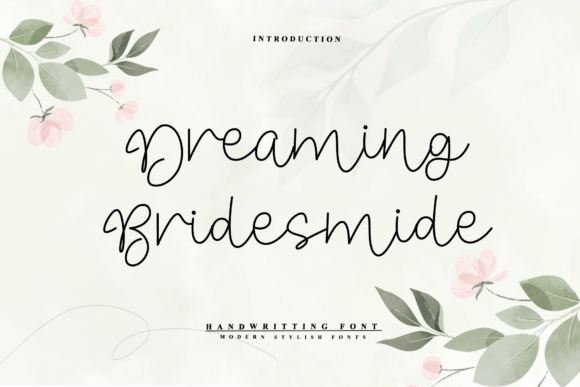 The Elegance of Dreaming Bridesmide: A Designer's Script Font Guide